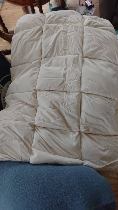 Luxurious White Goose Down Comforter Duvet Insert Bread Shape 100% ...